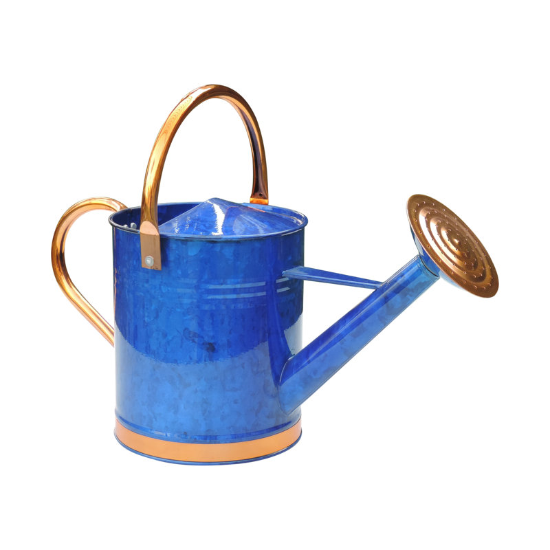 Deluxe 1 Gallon Watering Can & Reviews Birch Lane